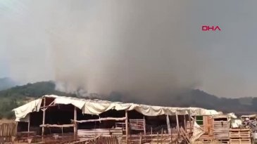 Bursa'da biri bitmeden diğeri başlıyor! Aynı bölgede 3. yangın