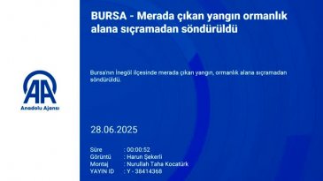 Önüne geçilemiyor! Bursa'da bir yangın daha