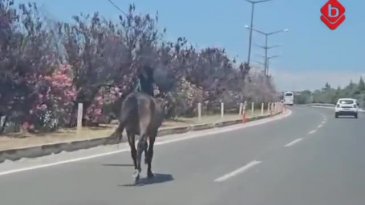 Bursa'da trafikte şoke eden anlar! Araçlar ile yarıştı