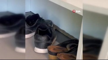 Ayakkabılıktan çıktı, yürekleri hoplattı!