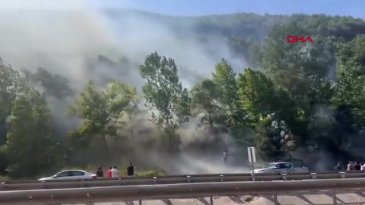 Bursa'da ağaçlık alanda çıkan yangın söndürüldü