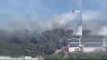Bursa'da bir yangın daha çıktı! Yerleşim yerinin çok yakınında...