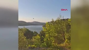 Bursa alev alevdi! Saatler süren felaketin nedeni belli oldu...
