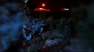 Bayburtlu vatandaşın ürkek tilkiyle imtihanı: Uzun uğraşlar sonunda...