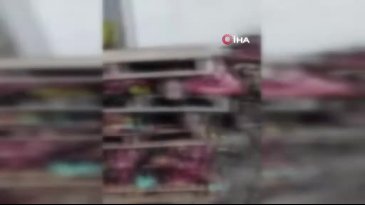 Bursa'da büyük skandal! Çok sayıda çürümüş hayvan kafası bulundu...