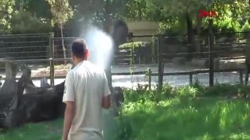 Bursa'da çöl sıcakları etkili oldu! Hortumla serinlediler
