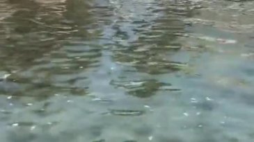 Ünlü oyuncu isyan etti! "Deniz idrar rengine dönüş!"