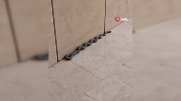 Buzdolabı motoruna giren yılanı itfaiye çıkardı