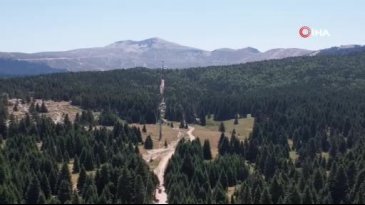 Bursa'nın ormanlarında 24 saat nöbet!