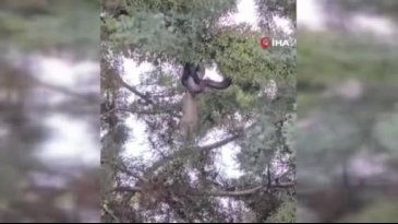 Karşılaştığı manzara karşısında hayrete düştü! "Dikkatli olsunlar"