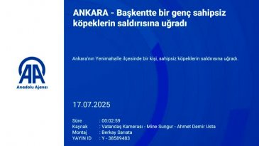 Başıboş köpek dehşetinin son durağı bu kez Ankara!