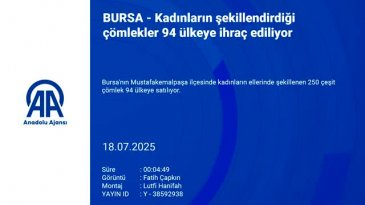 Kimse bu kadarını beklemiyordu: Bursa'dan Japonya'ya gidiyor!
