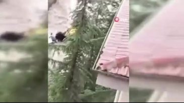 Bir ilimiz yaz ortasında kabusu yaşadı! Ağaçlar devrildi, yıllar göle döndü... - 3