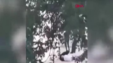 Günün en acı haberi! Evladı kucağında can verdi...