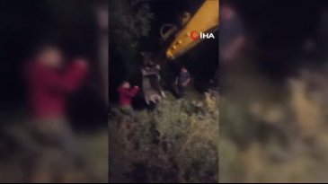 Kars'ta gece saatlerinde 'inek' operasyonu!