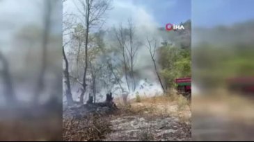 İznik'te orman yangını