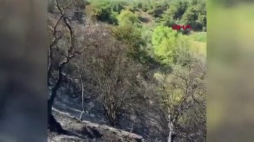 Bursa'da tarım arazisinde çıkan yangın söndürüldü