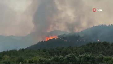 Yangın büyüyor! Akaryakıt istasyonu kapatıldı