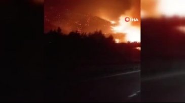 Bursa'nın yanı başında alevler dinmiyor! Bir köy daha...