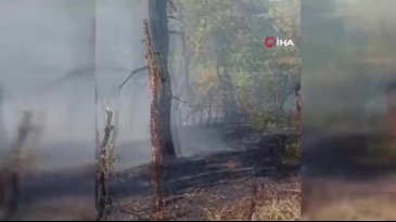 Yangında şehit olan ekibin son görüntüsü ortaya çıktı