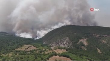 Orman yangınında alevler yerleşim yerlerine doğru ilerliyor