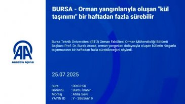 Bursa'da üniversiteden uzman uyardı: Doğal denge bozuluyor