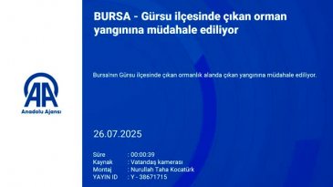 Bursa'da bir orman yangını daha! Yerleşim yerine çok yakın...