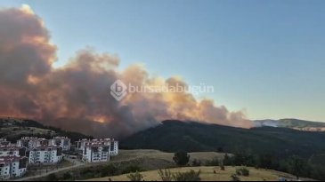 Bursa'da bir orman yangını daha! Yerleşim yerine çok yakın...