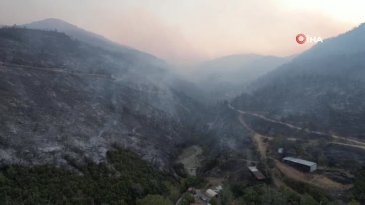 Bursa'daki yangının acı boyutu gün ağarınca ortaya çıktı