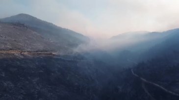 Bursa'da o mahalle yangından tahliye edilmişti! Peki son durum ne?&nbsp;