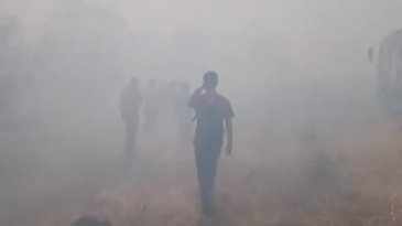 Bursa'da yangın yine alevlendi: Anında müdahale edildi!