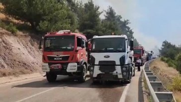 Bursa'da korkulan oldu! Alevler tekrar yükseliyor...