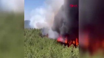 Bursa'da alevlerle mücadele! İki köy daha tahliye ediliyor!