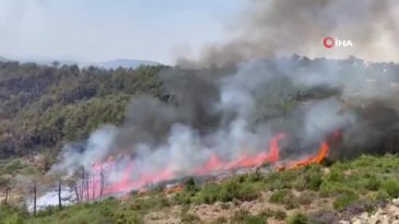 Bursa yine alevlere teslim! Yangın başka alana sıçradı...