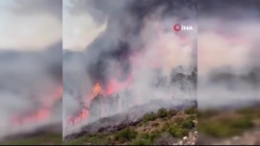Bursa yine alevlere teslim! Yangın başka alana sıçradı...