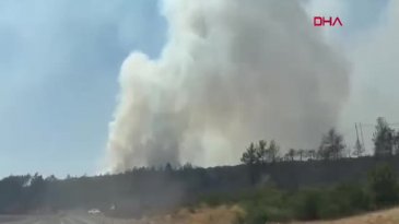 Bursa yine alevlere teslim! Yangın başka alana sıçradı...