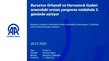 Bursa yine alevlere teslim! Yangın başka alana sıçradı...