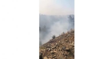 Bursa'daki yangında göz gözü görmüyor! Canla başla mücadele ediyorlar