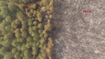 O eski halinden eser yok şimdi! Yeşil Bursa griye döndü