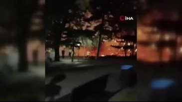 Bursa'da yangın çıkaran 4 kişi yakalandı!