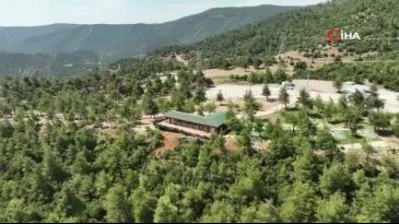 Bursa'da kahreden değişim: Böyleydi böyle oldu!
