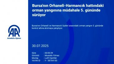 Bursa'daki yangın beşinci gününde!