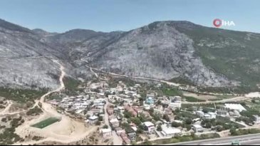 Bursa artık yeşil değil! Ormanlar böyle karardı...