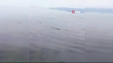 Bursa'da utandıran manzara! Resmen çöplüğe döndü...