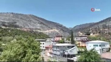 Bursa'da milyonlarcası telef oldu!