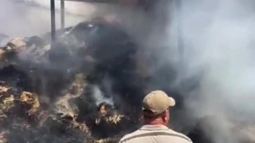 Büyükorhan'da yangın! BUSKİ personeli takdir topladı