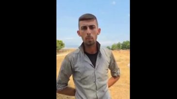 Bursa'da mahsulünü hayvanlara yem eden üreticiye şok!