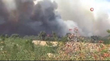 Alevler koca şehri sardı! Köyler, hastaneler tahliye ediliyor...
