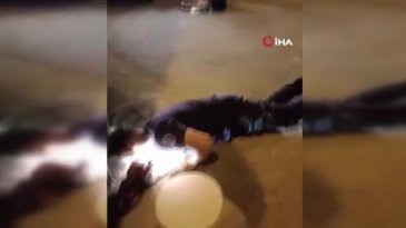 Kanalizasyonda mahsur kalan kedi böyle kurtarıldı