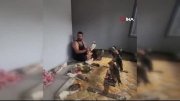 İstanbul'dan Bursa'ya uzanan 'kuş' operasyonu!